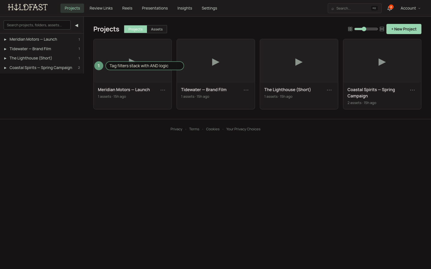 The Dashboard Asset View with tag categories expanded in the left sidebar, two active filter chips above the grid