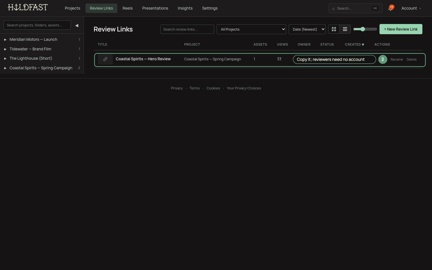 Review link settings showing Allow comments and the Copy Link button