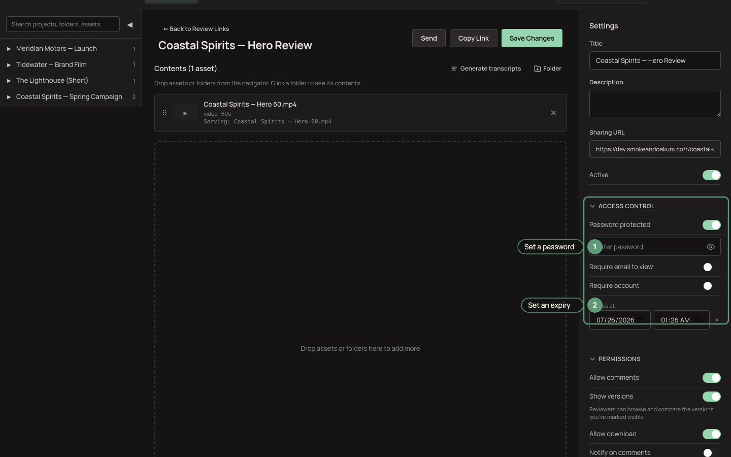 Review link settings with the password field and expiry presets