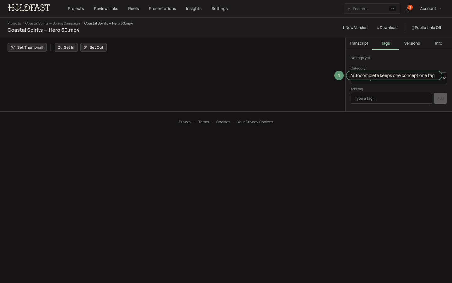 The Tags sidebar on an asset review page with autocomplete suggesting existing tags and a category assignment
