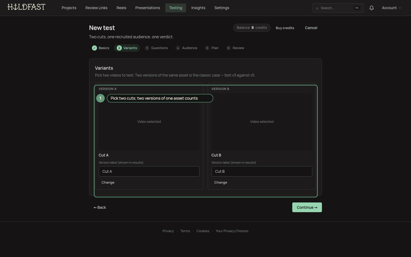The audience testing setup wizard on the step where two versions are chosen