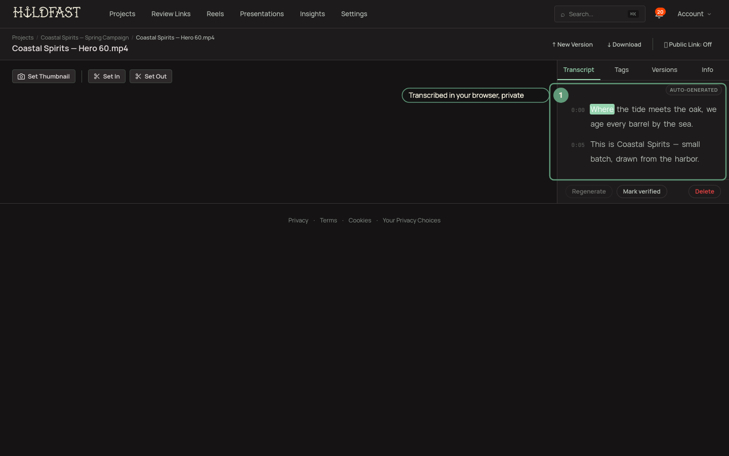 The Transcript tab with a transcript generated in the browser