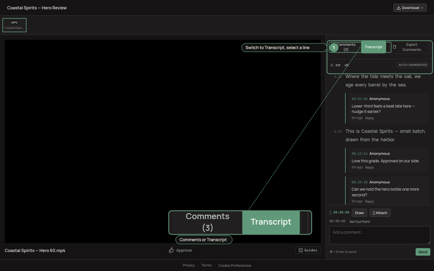 The Comments / Transcript toggle with select-to-comment