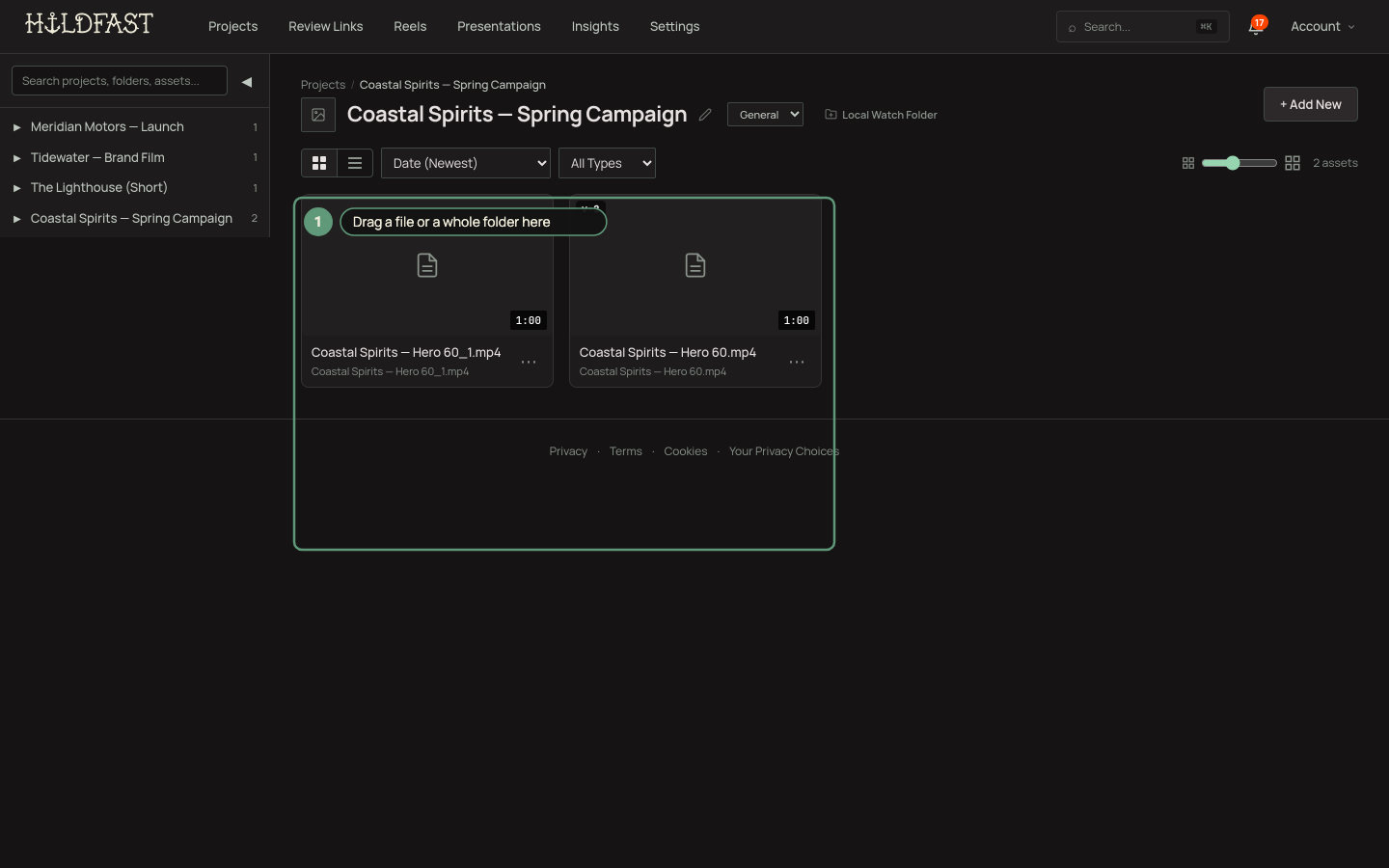 Dragging a video file onto a HoldFast project