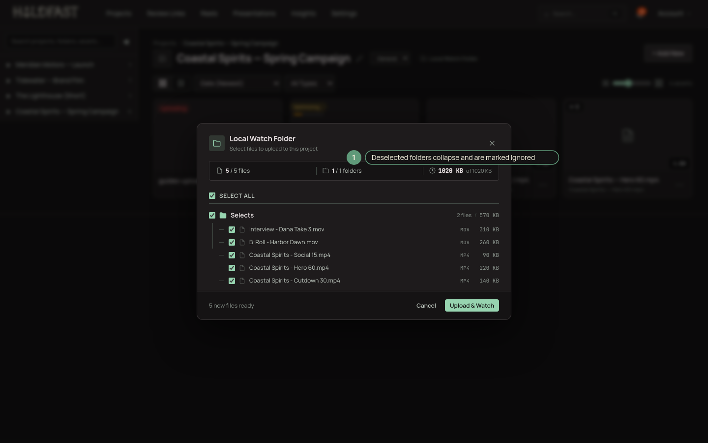 The Local Watch Folder modal showing a file tree with checkboxes, one subfolder deselected and marked Ignored